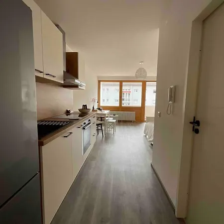 Loft Mit Parkplatz Und Balkon Apartment Lorrach Exterior photo