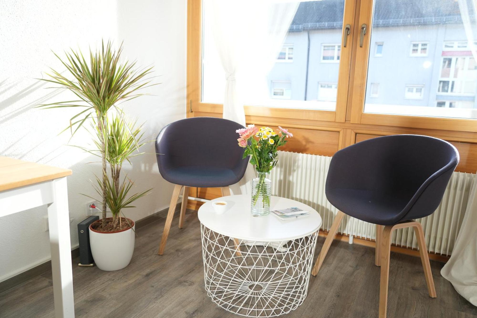 Loft Mit Parkplatz Und Balkon Apartment Lorrach